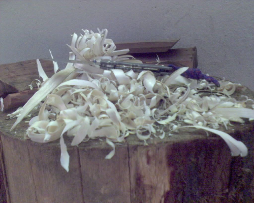 DSC01340.jpg