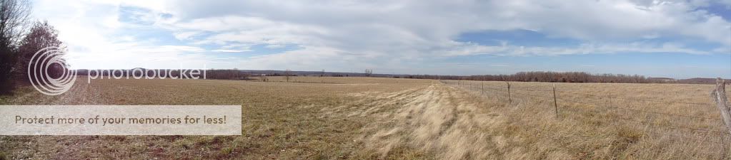 Hayfield.jpg