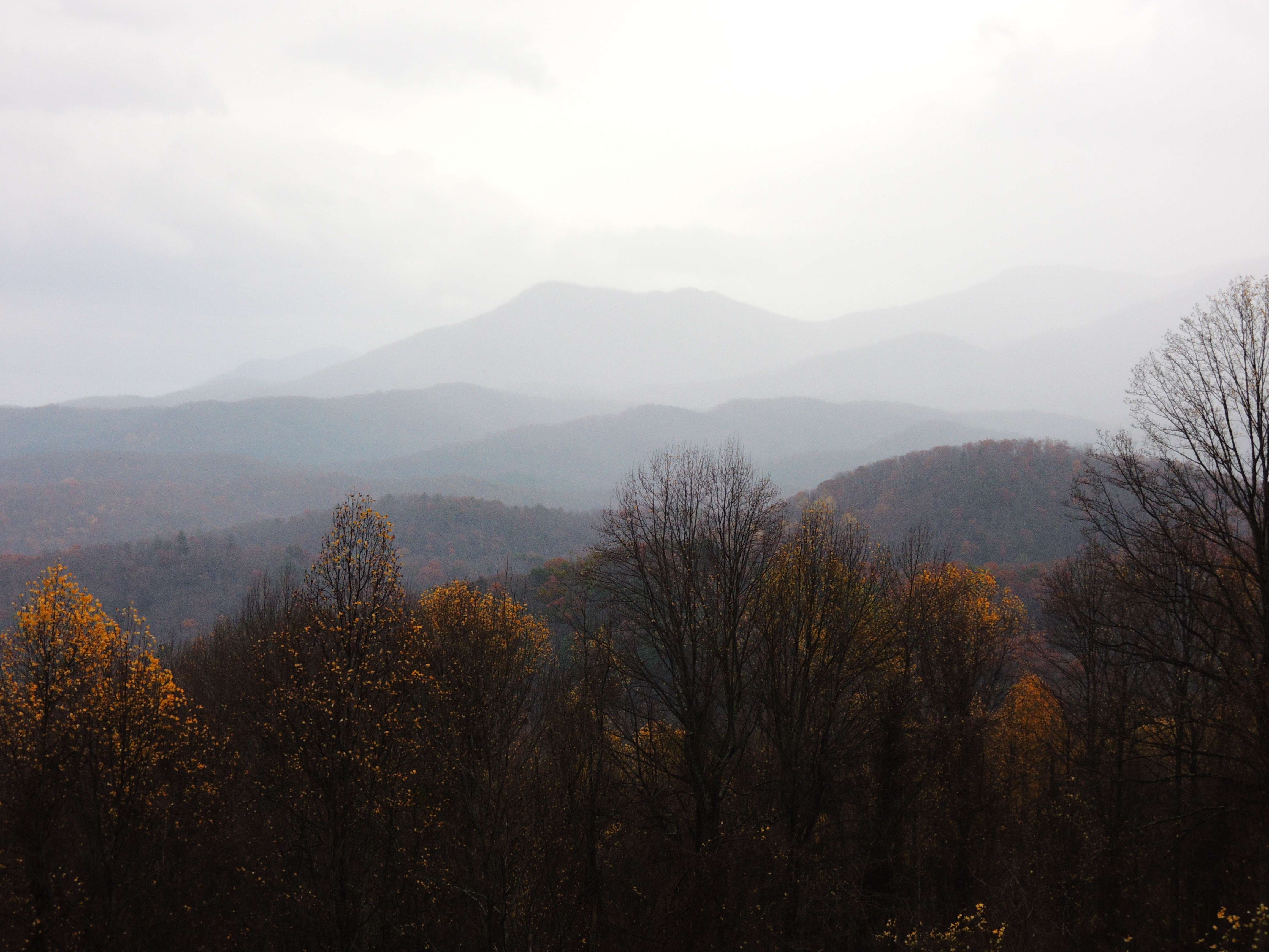 dscn2898o.jpg