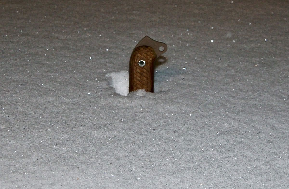 Blizzard_Feb-10-2010f.jpg