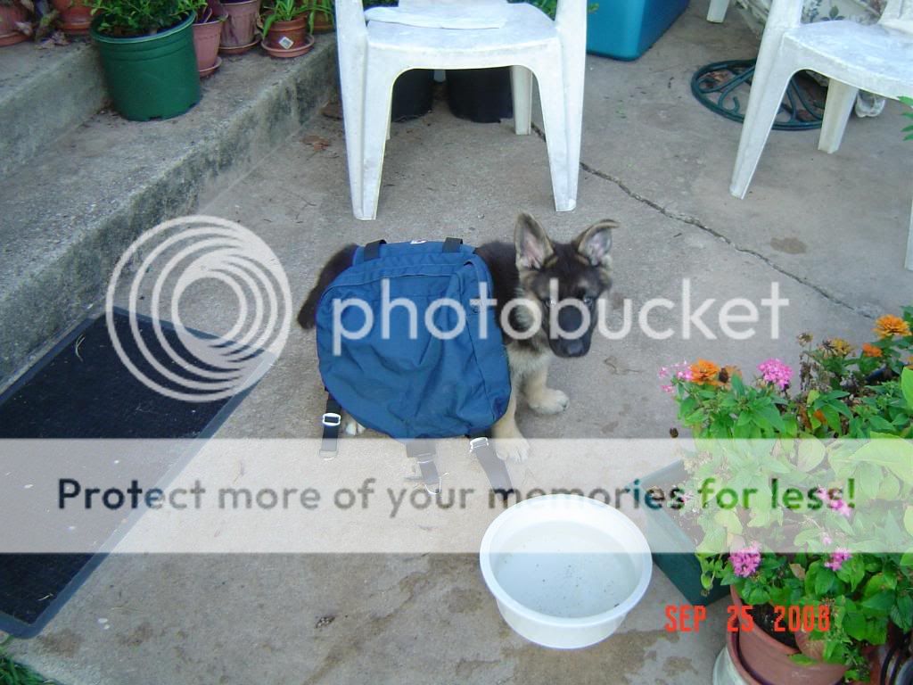 DSC08217.jpg