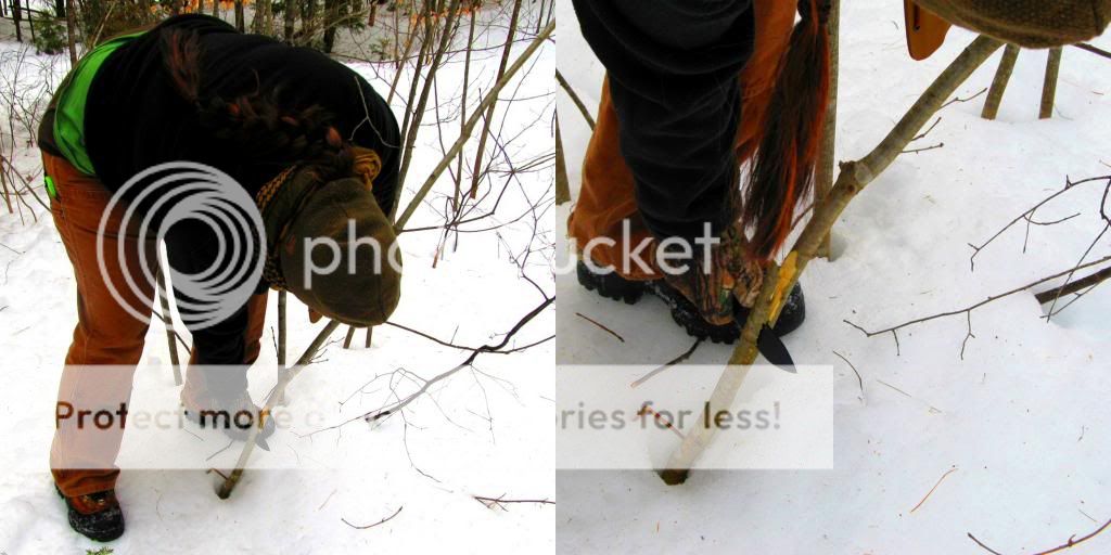 Snowshoes1_zpsd3304672.jpg
