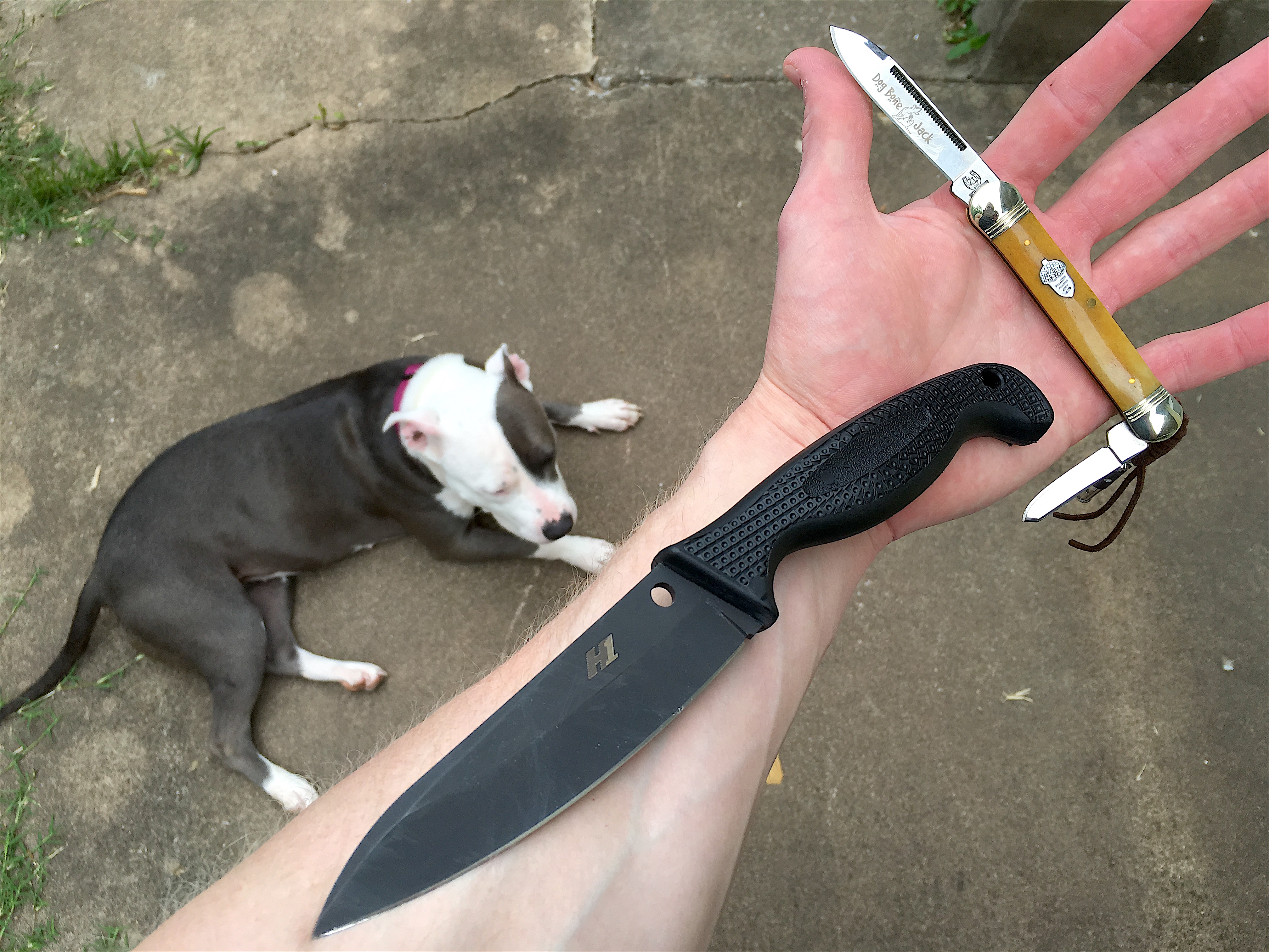 mrwzTKD.jpg