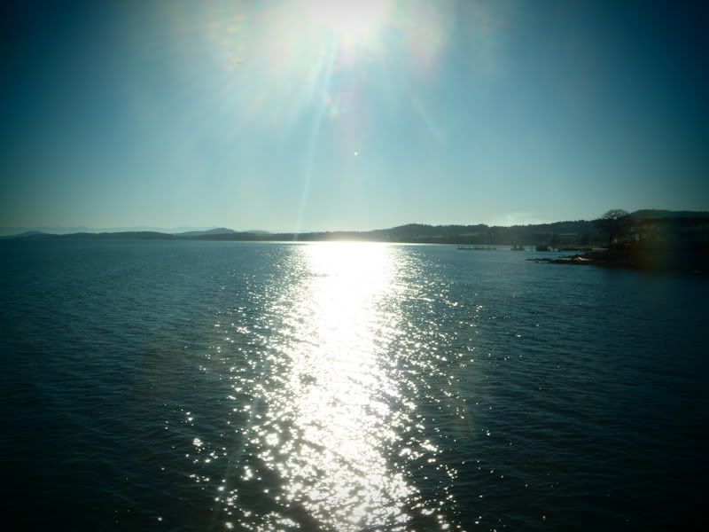 P2030020.jpg