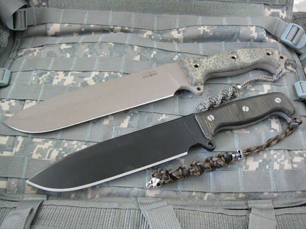 Busse_SHSHII_NMFSH_01.jpg