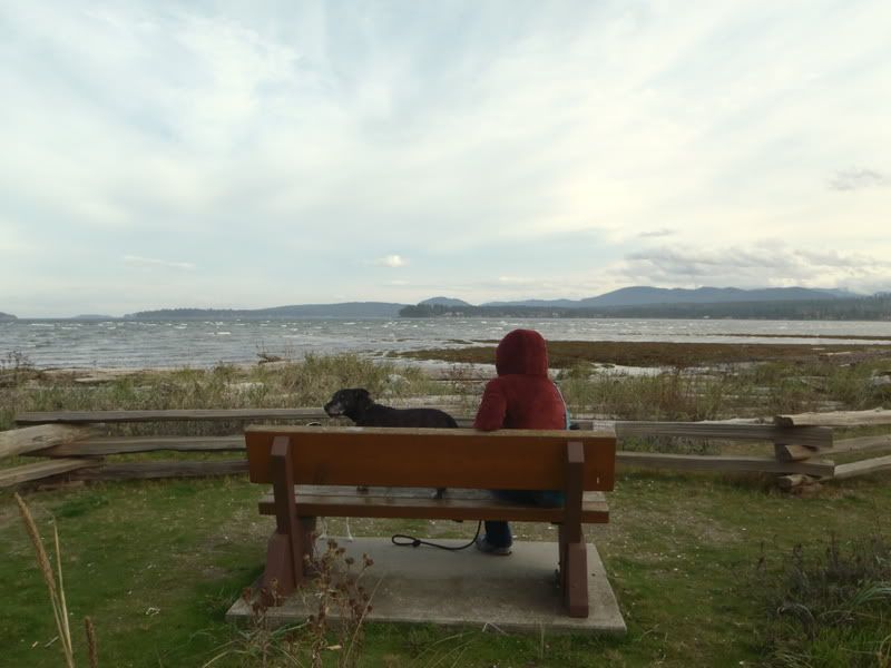 PA210023.jpg