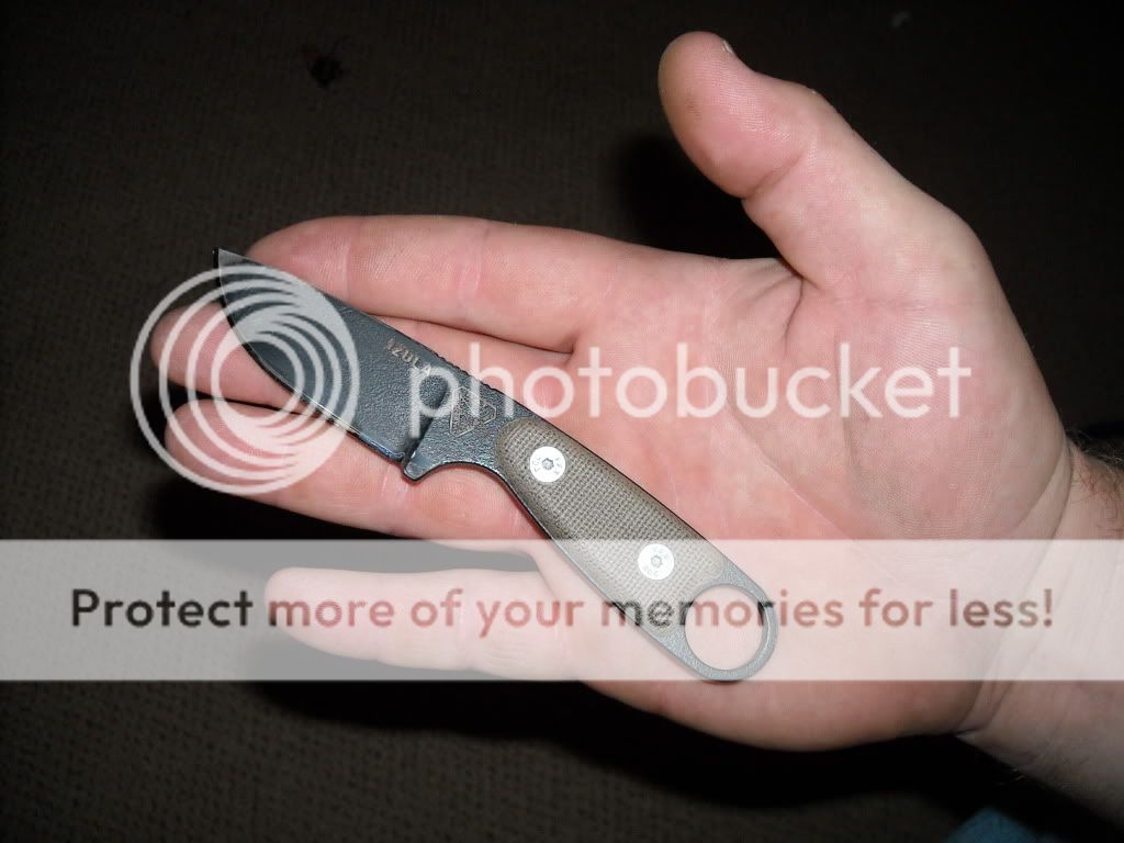 DSCN1501.jpg