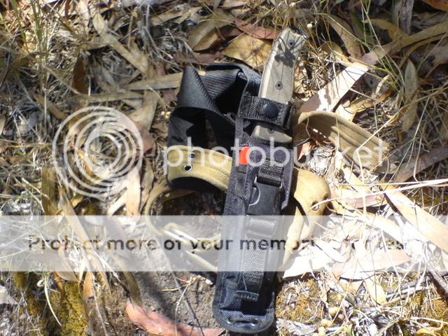 DSC00088.jpg