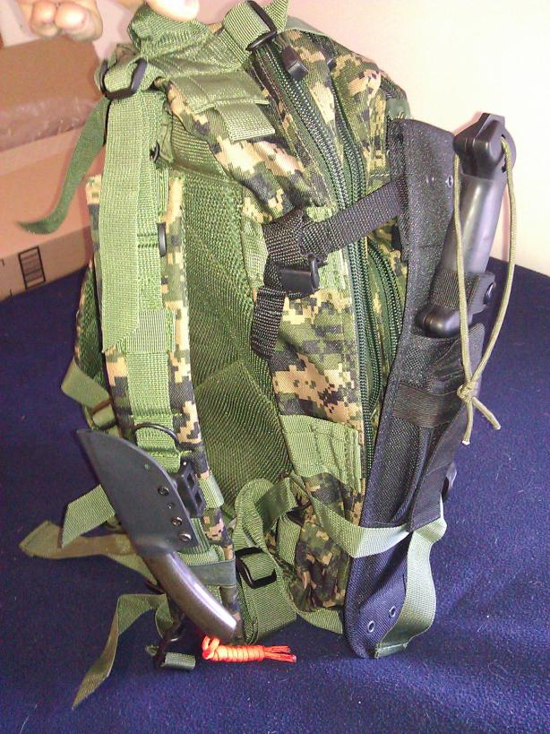 IMG_20120307_120544-small.jpg
