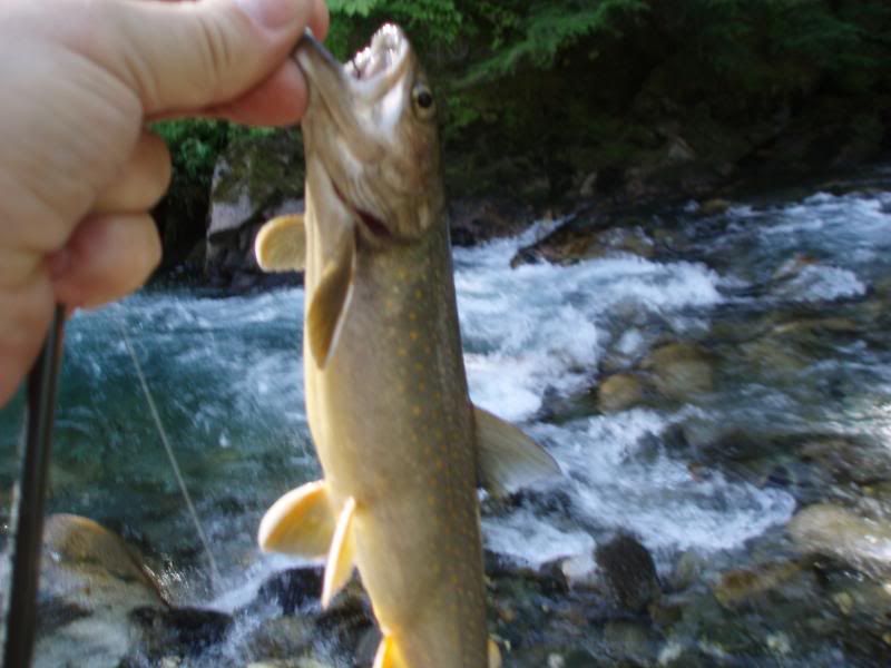 Summer2011123.jpg