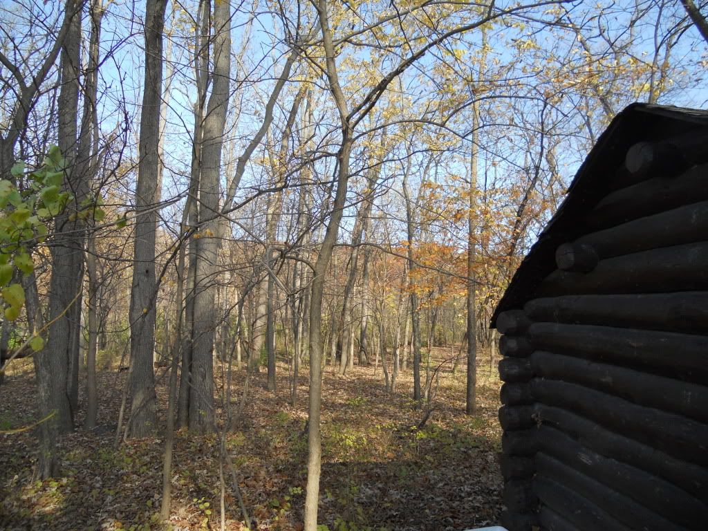 NOVEMBER5TH2011022.jpg