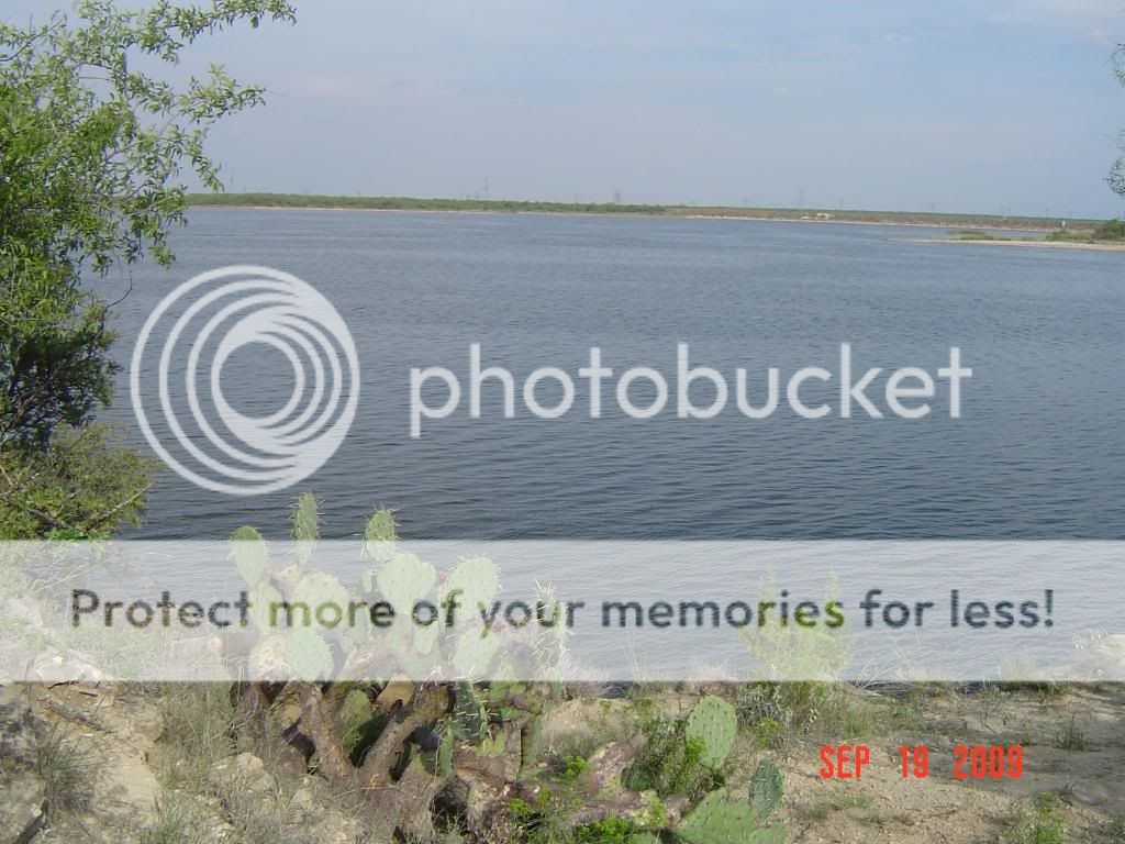 Picture009.jpg
