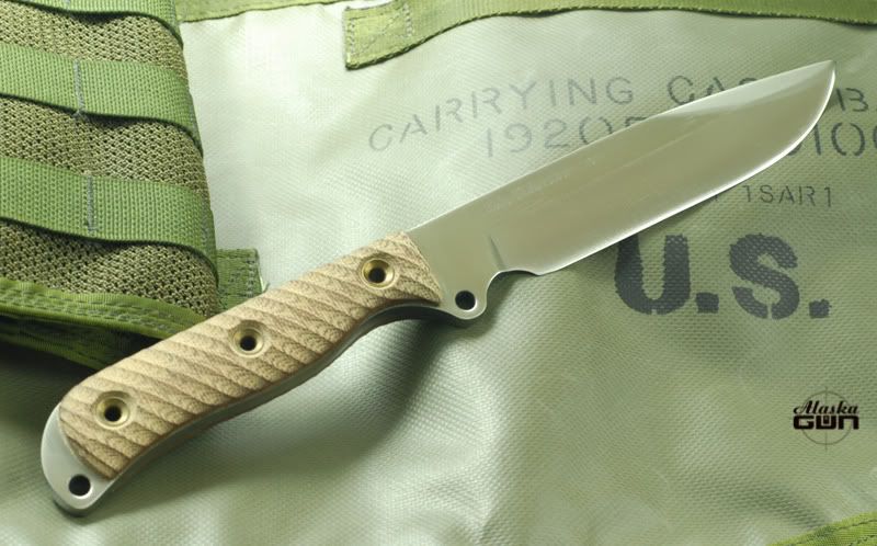 Busse-ZT-SJ-1.jpg