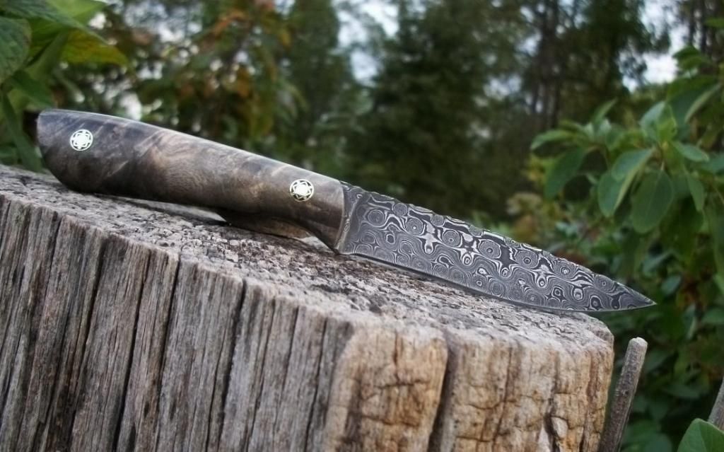 FEATHER036.jpg