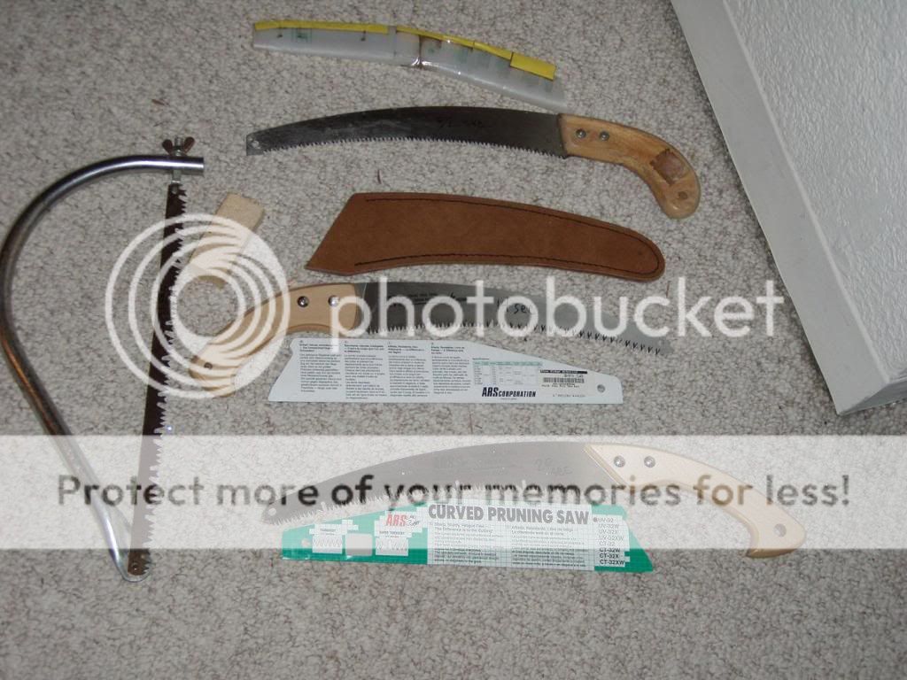 sawtimes.jpg