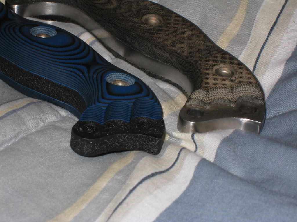 Picture318.jpg
