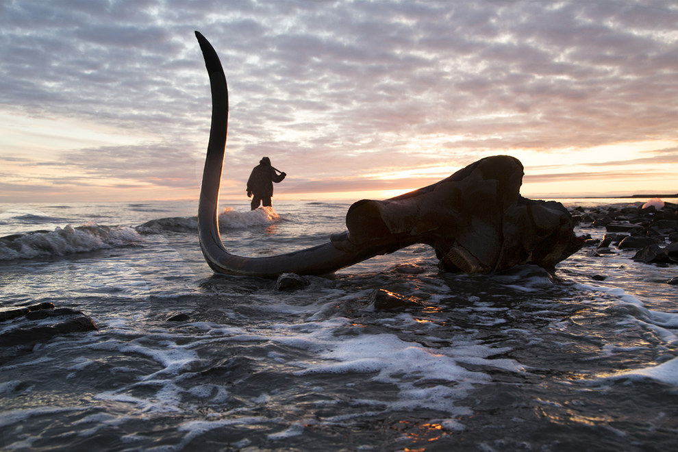 mammoth5.jpg