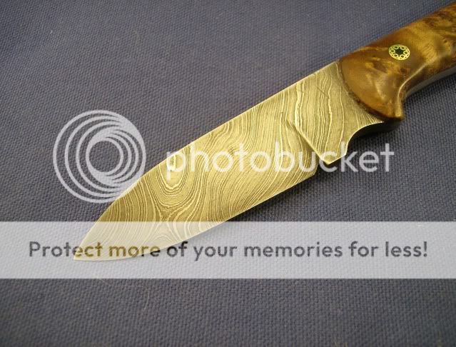 HPIM0887.jpg