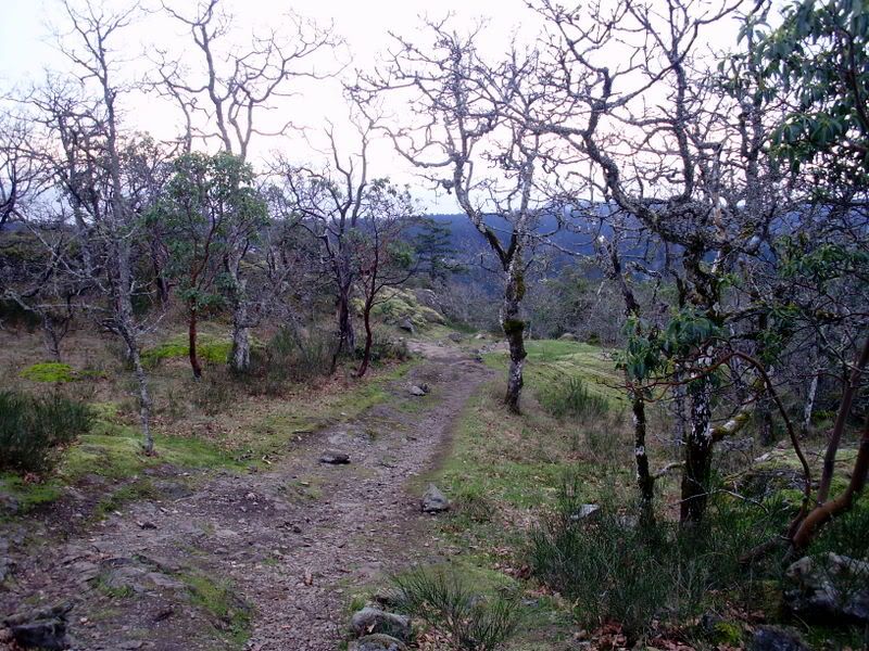 P2230008-1.jpg