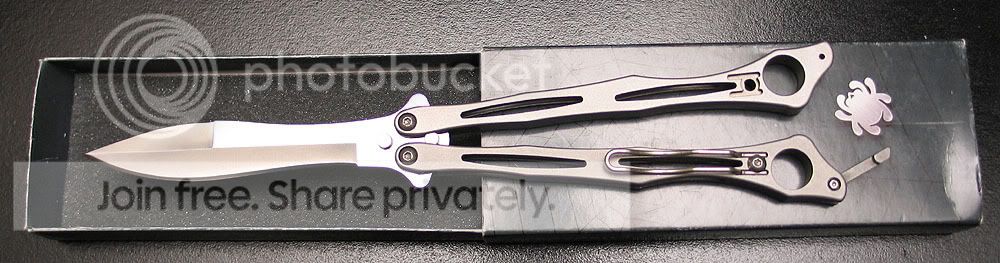 spyderfly.jpg