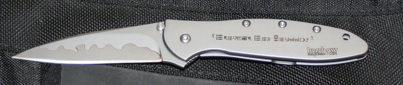 FrontsideLeek1660CB.jpg