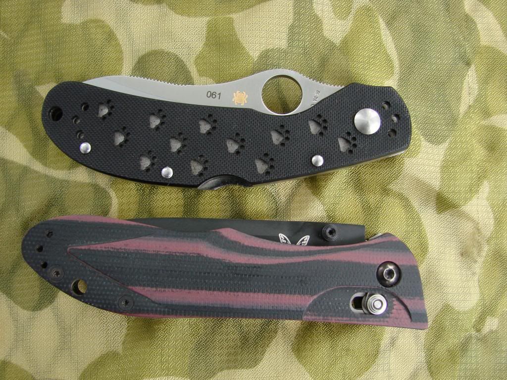 BM730andSpydercoOcelot008.jpg