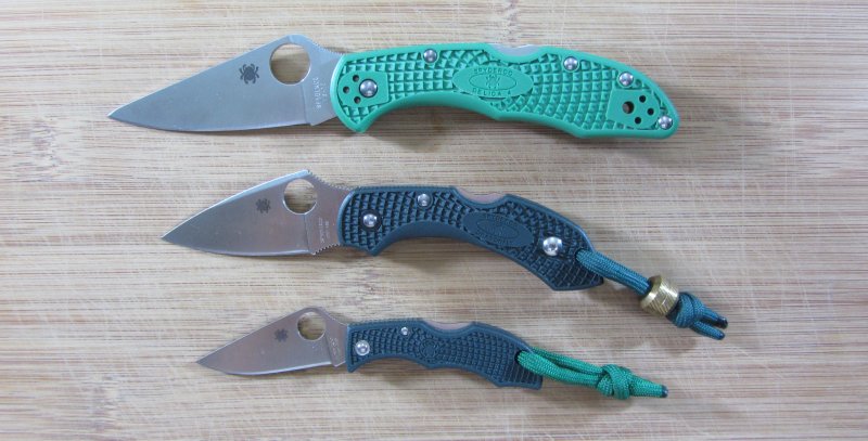 Delica_Dragonfly_Ladybug_800x407.jpg
