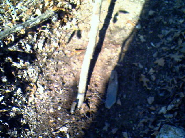 IMG00937.jpg