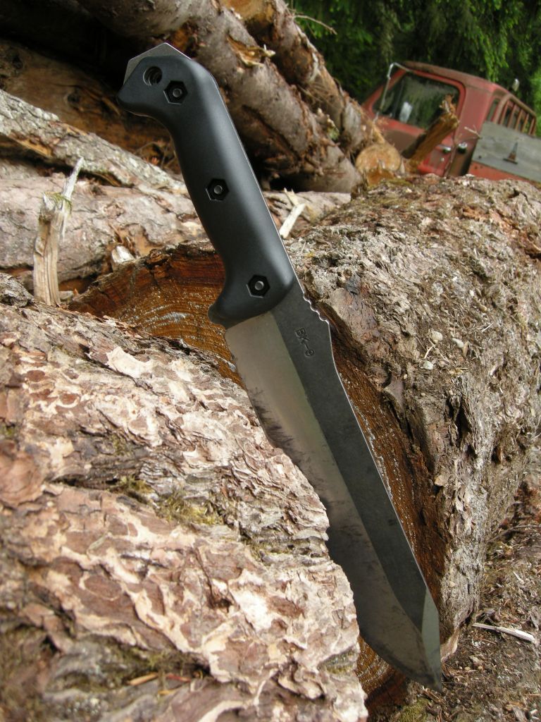DSCN1251.jpg