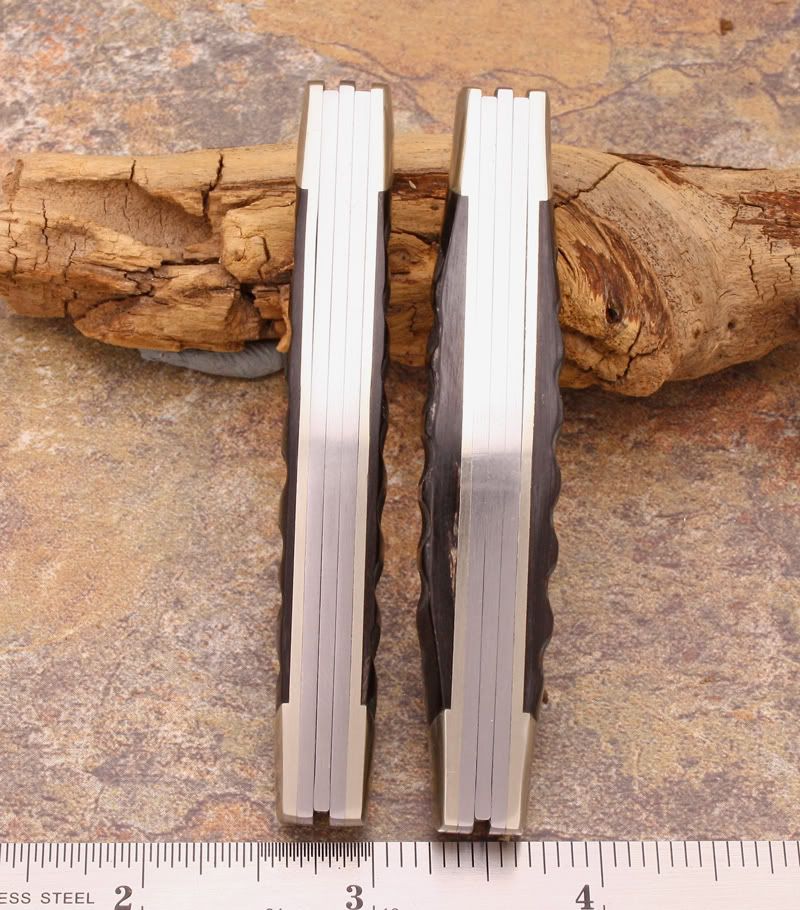 Thickanthin.jpg