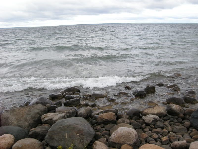 DSCN4308.jpg