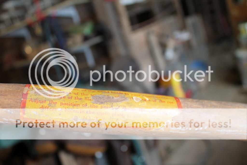 IMG_3380_zps17cf73bd.jpg