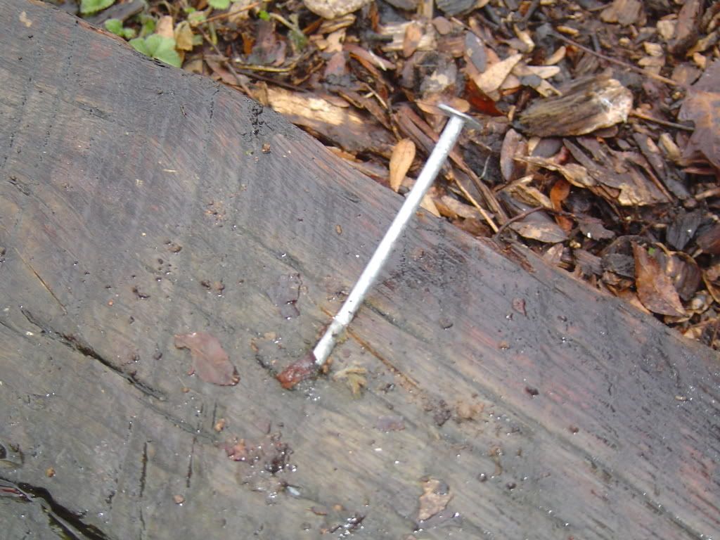 DSC04272.jpg
