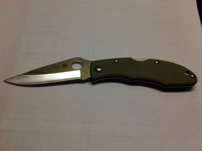 rookie20091129.jpg