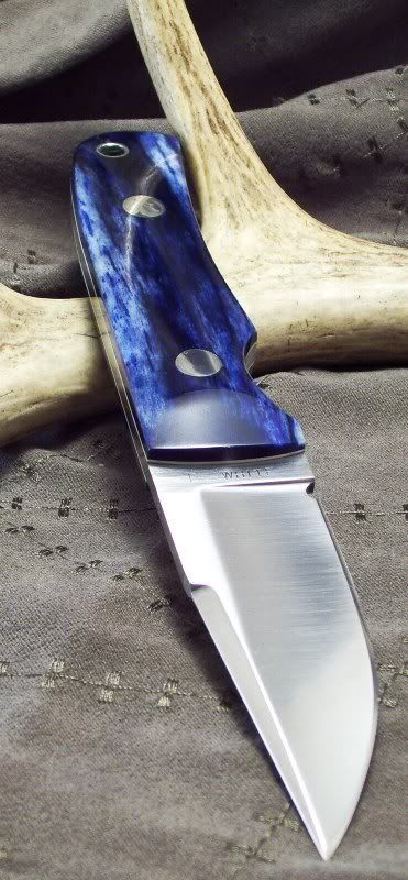 XII011bluebn.jpg