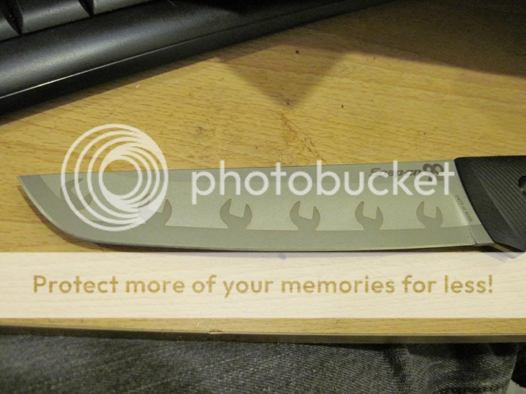 IMG_0809_zps87cf2a85.jpg