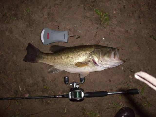 TopWater4LB.jpg