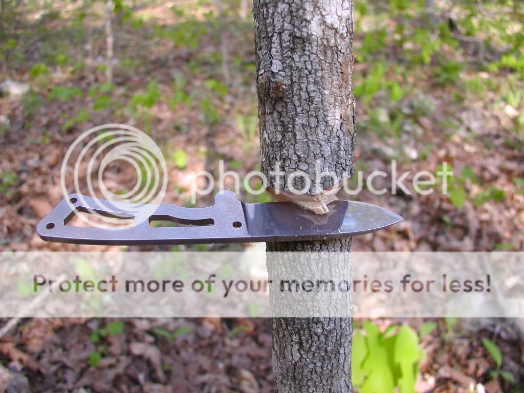BK13Tree.jpg
