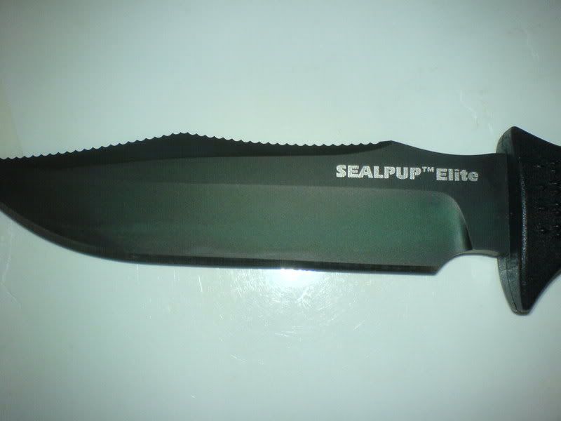 DSC00620.jpg