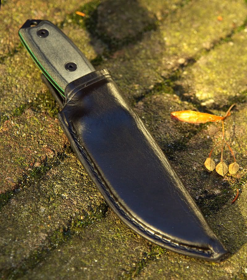 RC-3sheath01.jpg