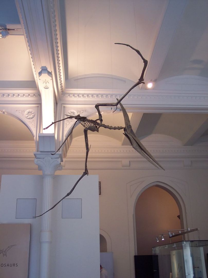 Museum051.jpg