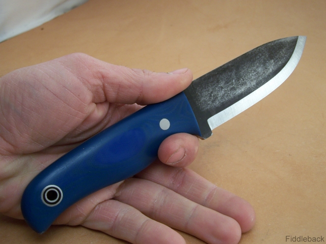 ej102_1545-vi.jpg
