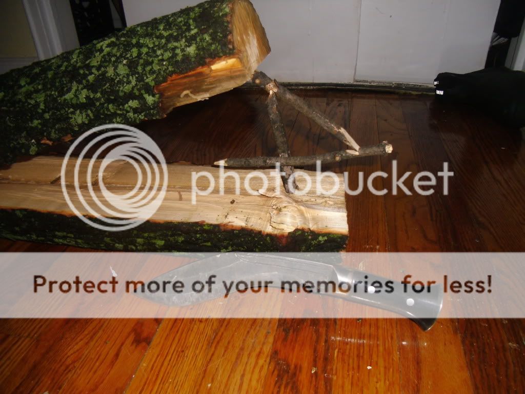 PICT0002-65.jpg
