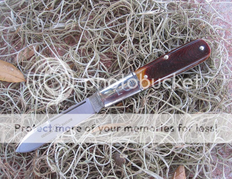 IMG_4366_zpsfiqtzehr.jpg~original