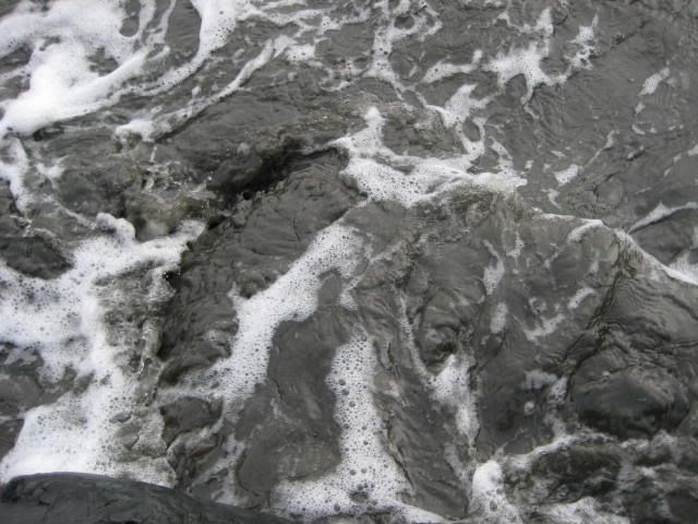 fishboatbay035.jpg