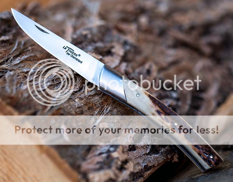 le_compact_stag-.jpg~original