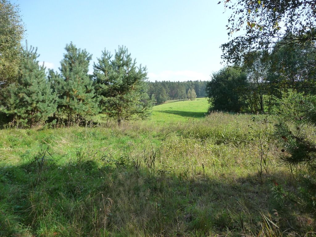 P1080029.jpg