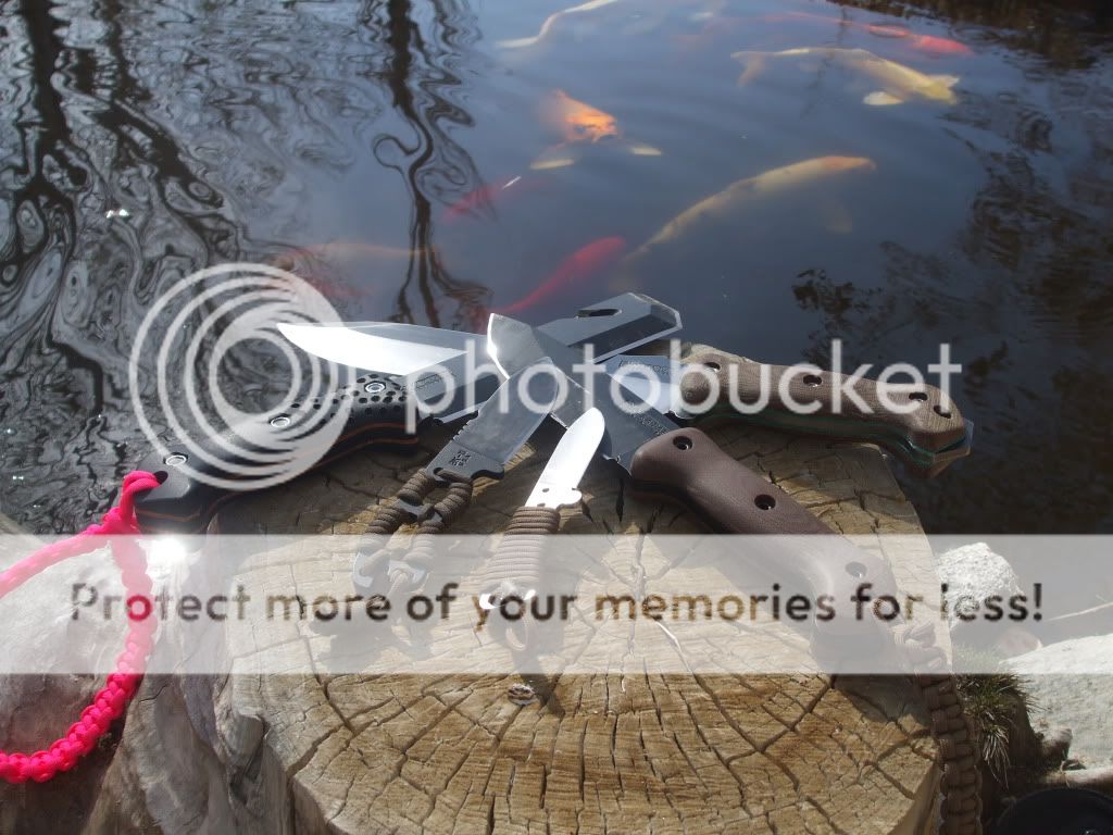 pondbeckerpics044.jpg