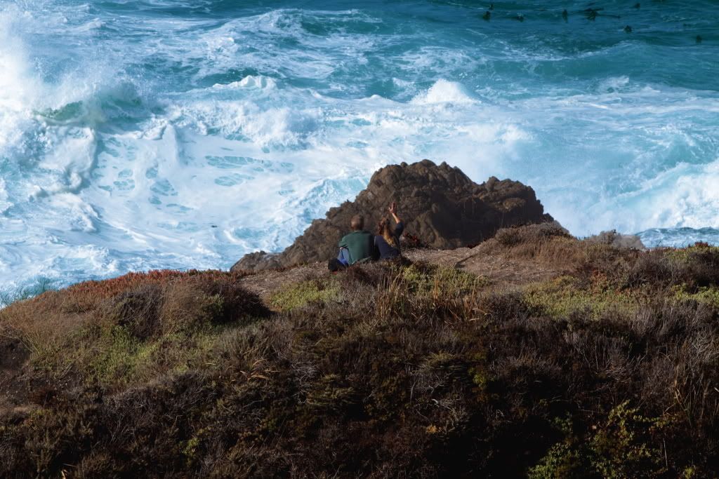 MFBigSur007.jpg