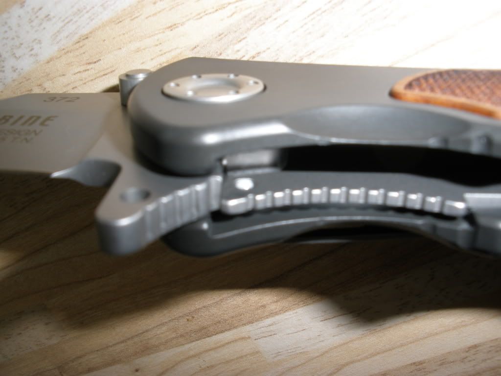 PA100166.jpg